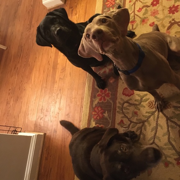 Meet your Posher, πβΊοΈπ - Picture 1 of 1